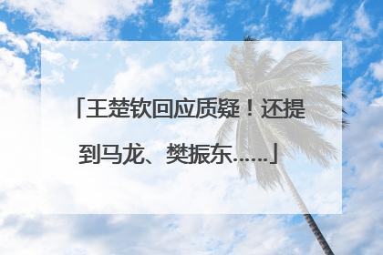 王楚钦回应质疑！还提到马龙、樊振东……