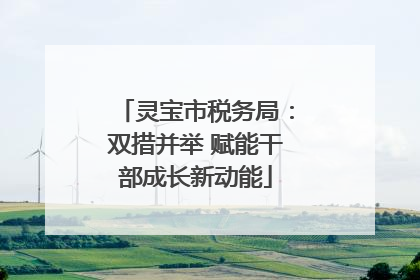 灵宝市税务局：双措并举 赋能干部成长新动能