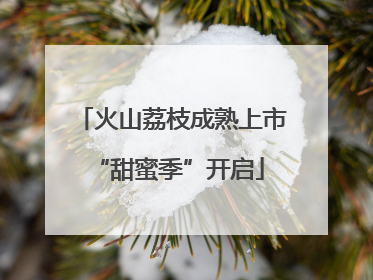 火山荔枝成熟上市 “甜蜜季”开启