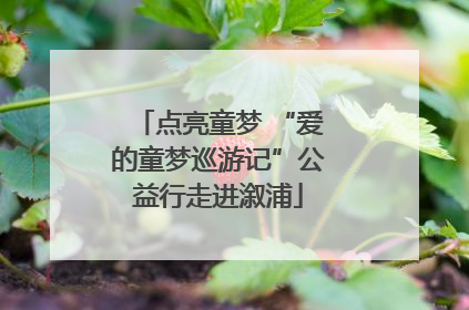 点亮童梦 “爱的童梦巡游记”公益行走进溆浦