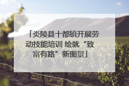 炎陵县十都镇开展劳动技能培训 绘就“致富有路”新图景