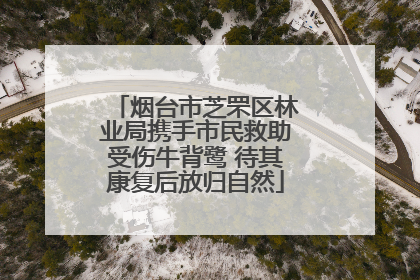 烟台市芝罘区林业局携手市民救助受伤牛背鹭 待其康复后放归自然