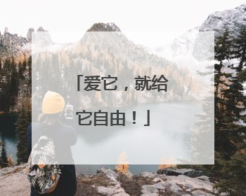 爱它，就给它自由！