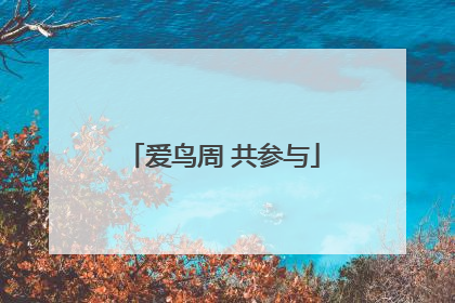 爱鸟周 共参与