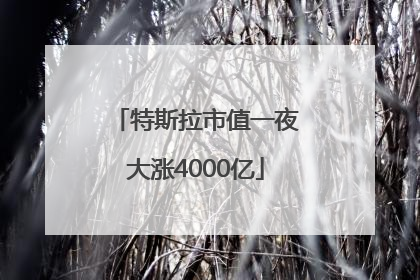特斯拉市值一夜大涨4000亿