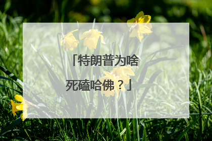 特朗普为啥死磕哈佛？