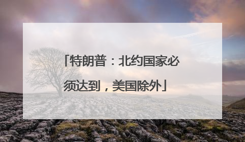 特朗普：北约国家必须达到，美国除外