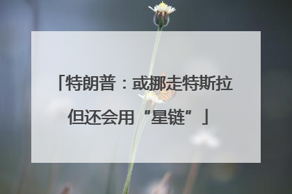 特朗普：或挪走特斯拉 但还会用“星链”