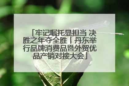 牢记嘱托显担当 决胜之年夺全胜丨丹东举行品牌消费品暨外贸优品产销对接大会