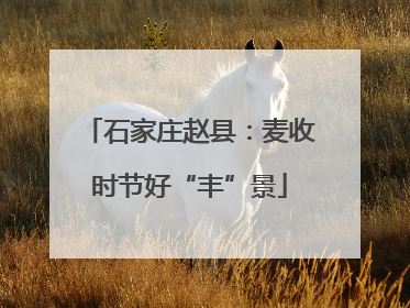 石家庄赵县：麦收时节好“丰”景