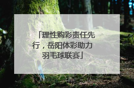 理性购彩责任先行，岳阳体彩助力羽毛球联赛