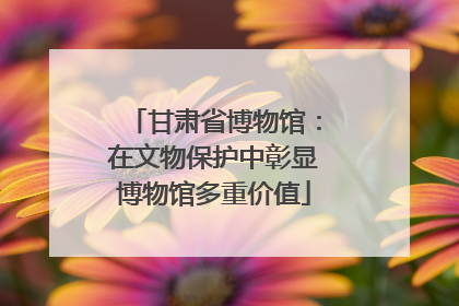 甘肃省博物馆：在文物保护中彰显博物馆多重价值
