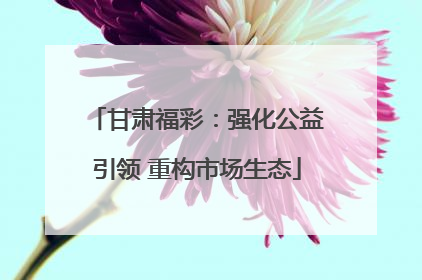甘肃福彩：强化公益引领 重构市场生态