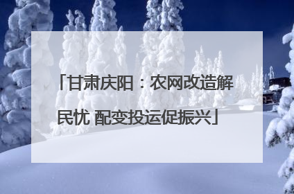 甘肃庆阳：农网改造解民忧 配变投运促振兴