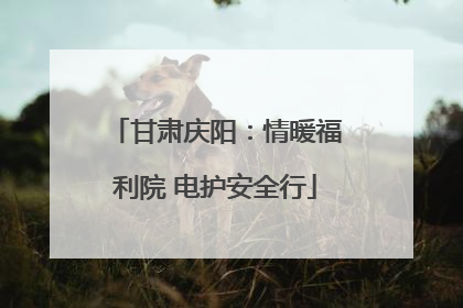 甘肃庆阳：情暖福利院 电护安全行