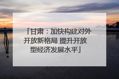 甘肃：加快构建对外开放新格局 提升开放型经济发展水平