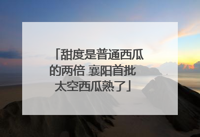 甜度是普通西瓜的两倍 襄阳首批太空西瓜熟了