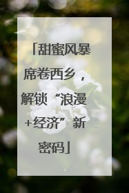 甜蜜风暴席卷西乡，解锁“浪漫+经济”新密码