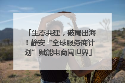 生态共建，破局出海！静安“全球服务商计划”赋能电商闯世界