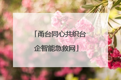 甬台同心共织台企智能急救网