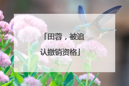 田蓉，被追认撤销资格
