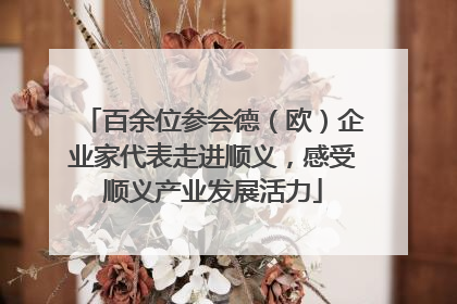 百余位参会德（欧）企业家代表走进顺义，感受顺义产业发展活力