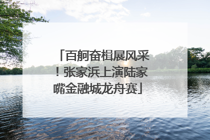 百舸奋楫展风采！张家浜上演陆家嘴金融城龙舟赛