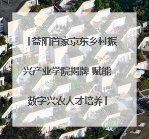 益阳首家京东乡村振兴产业学院揭牌 赋能数字兴农人才培养