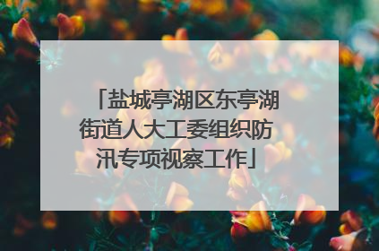 盐城亭湖区东亭湖街道人大工委组织防汛专项视察工作