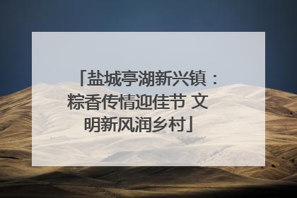 盐城亭湖新兴镇：粽香传情迎佳节 文明新风润乡村