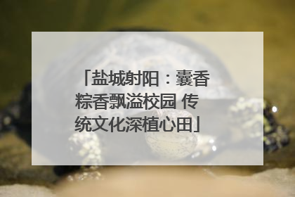 盐城射阳：囊香粽香飘溢校园 传统文化深植心田