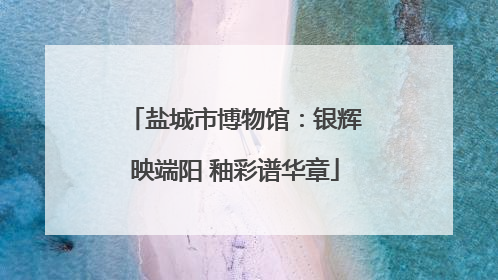 盐城市博物馆：银辉映端阳 釉彩谱华章