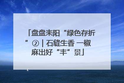 盘盘耒阳“绿色存折”②｜石缝生香 一椒麻出好“丰”景