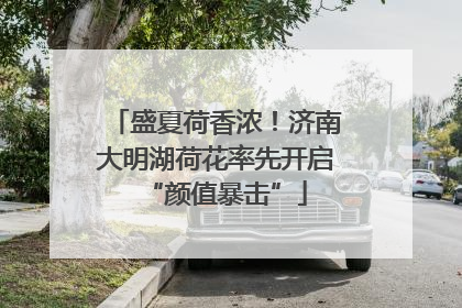 盛夏荷香浓！济南大明湖荷花率先开启“颜值暴击”