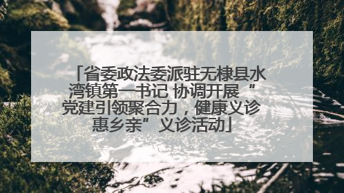 省委政法委派驻无棣县水湾镇第一书记 协调开展“党建引领聚合力，健康义诊惠乡亲”义诊活动