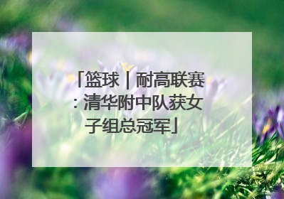篮球｜耐高联赛：清华附中队获女子组总冠军