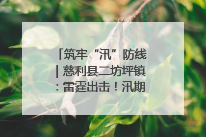 筑牢“汛”防线｜慈利县二坊坪镇：雷霆出击！汛期捕鱼被紧急叫停