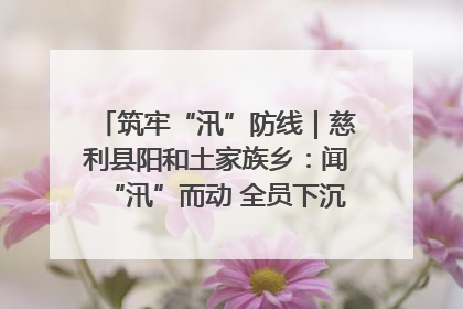 筑牢“汛”防线｜慈利县阳和土家族乡：闻“汛”而动 全员下沉筑牢防汛“安全堤”