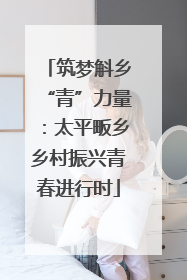 筑梦斛乡“青”力量：太平畈乡乡村振兴青春进行时