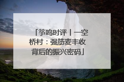 筝鸣时评丨一空桥村：强筋麦丰收背后的振兴密码