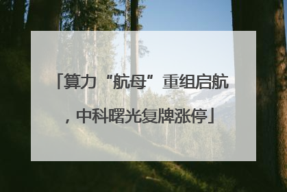 算力“航母”重组启航，中科曙光复牌涨停