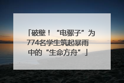 破壁！“电骡子”为774名学生筑起暴雨中的“生命方舟”