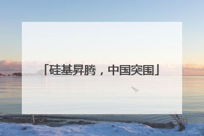硅基昇腾，中国突围