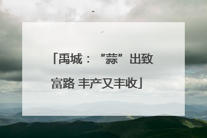 禹城：“蒜”出致富路 丰产又丰收