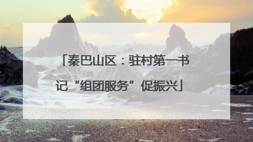 秦巴山区：驻村第一书记“组团服务”促振兴