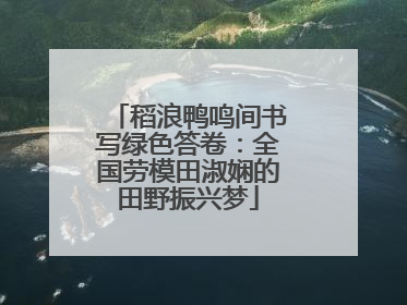 稻浪鸭鸣间书写绿色答卷：全国劳模田淑娴的田野振兴梦