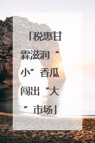税惠甘霖滋润“小”香瓜闯出“大”市场