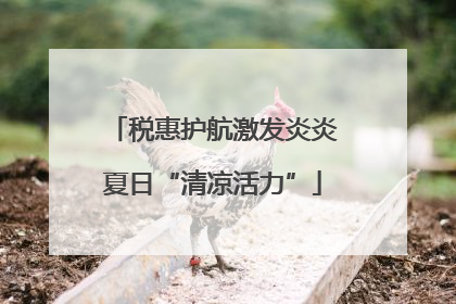 税惠护航激发炎炎夏日“清凉活力”