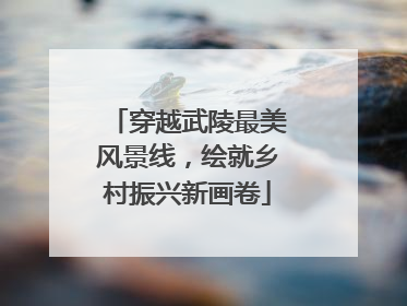 穿越武陵最美风景线，绘就乡村振兴新画卷
