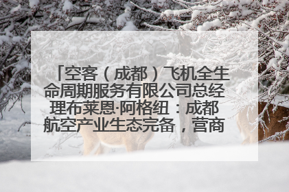 空客（成都）飞机全生命周期服务有限公司总经理布莱恩·阿格纽：成都航空产业生态完备，营商环境优势显著
